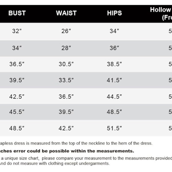 NWT women’s square neck empire waist elegant gown SZ 3XL - Picture 4 of 9